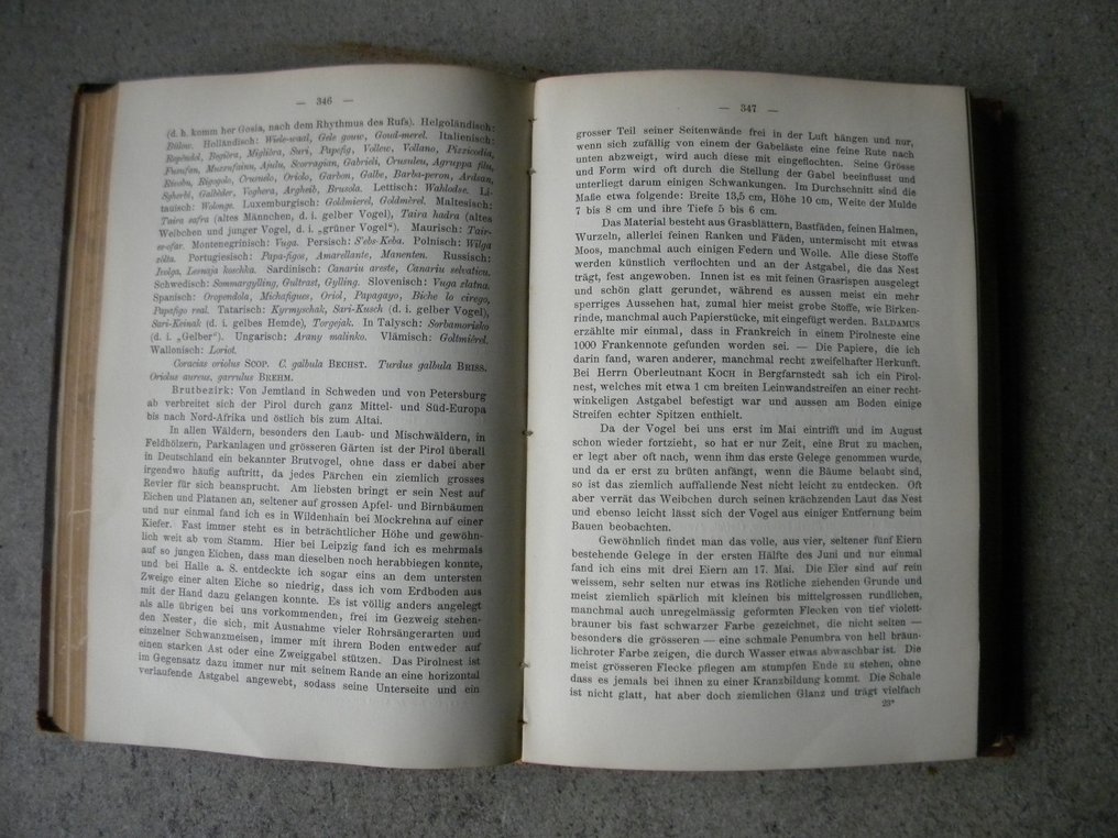 Dr. Eugène Rey - Die Eier der Vögel Mitteleuropas - 1905 #4.3