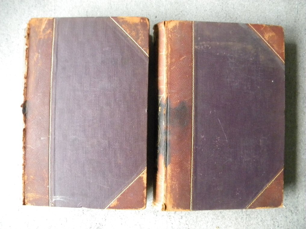 Dr. Eugène Rey - Die Eier der Vögel Mitteleuropas - 1905 #1.0