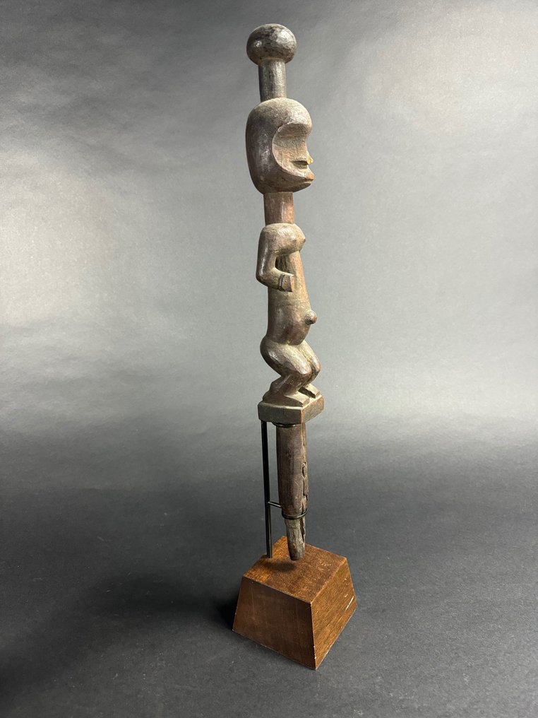 Käpp - Trä - Eket #2.1