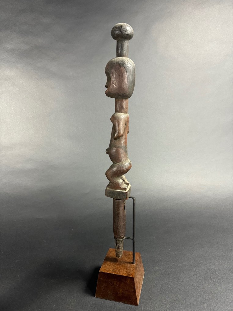 Käpp - Trä - Eket #4.3