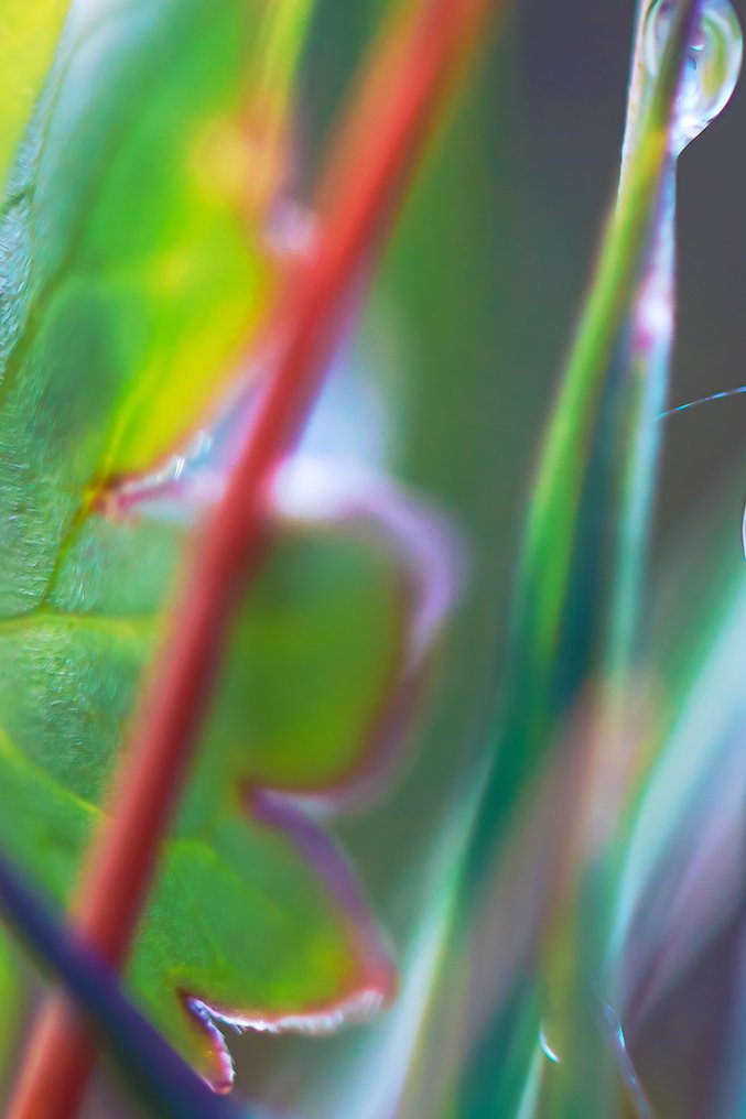 Inna Etuvgi - Rainbow Walkers #3.2