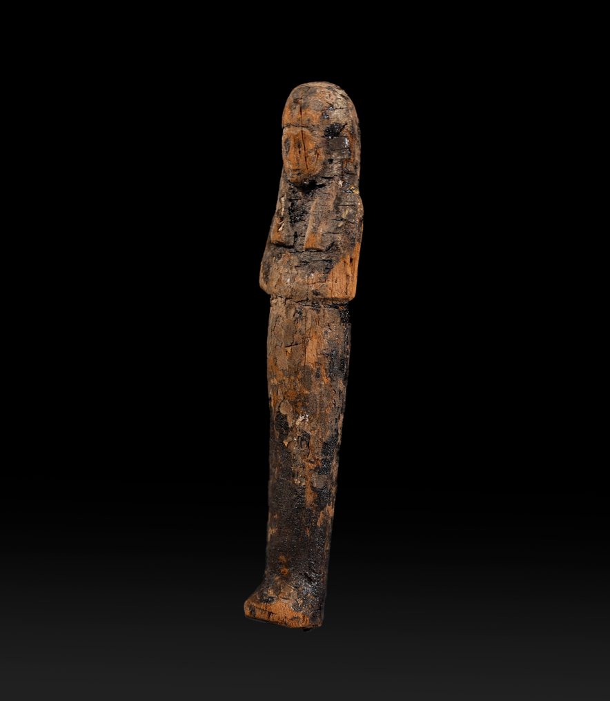 Antico Egitto Legno Ushabti - 20.5 cm #1.2