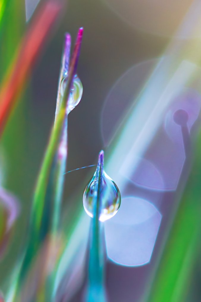 Inna Etuvgi - Rainbow Walkers #1.0