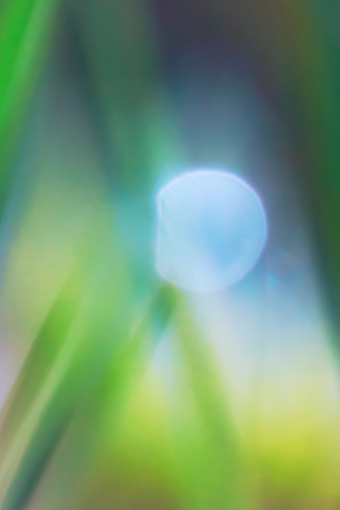 Inna Etuvgi - Rainbow Walkers #2.1