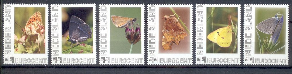 Olanda 2008 - Seria completă despre fluturi în Țările de Jos. #4.3