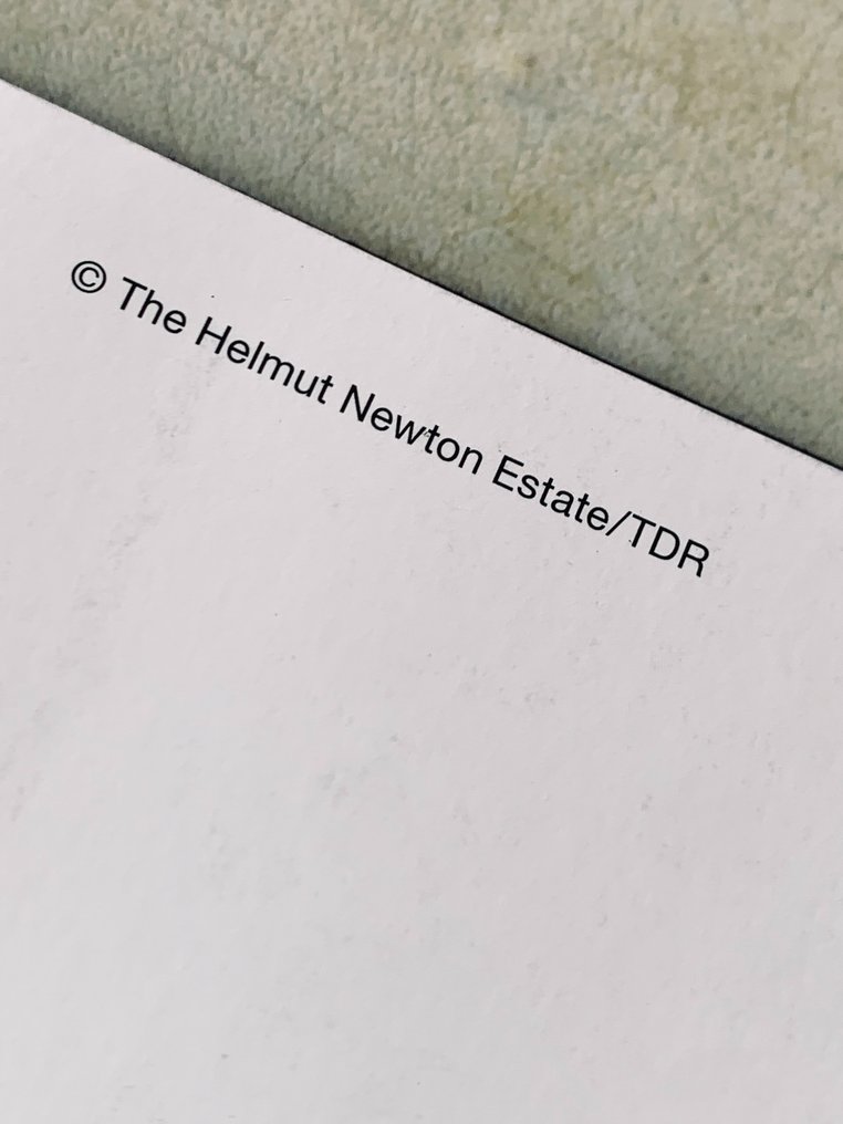 Helmut Newton (1920–2004) - Henrietta, Parigi - 1980 (Big Nudes) #3.2