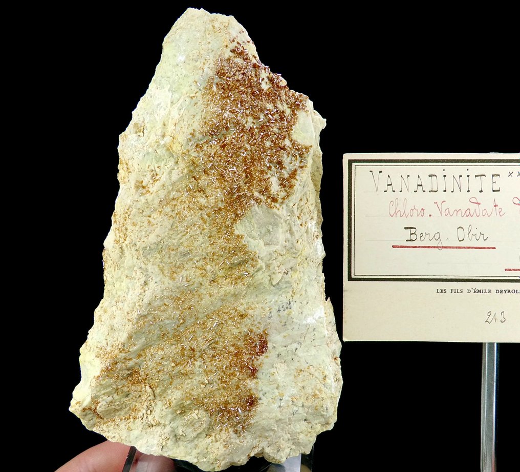 Vanadinit (Edelstein) auf Dolomit - Bergwerk Alt-Stefanie, Bad Bleiberg, Kärnten, Österreich - Höhe: 13.8 cm - Breite: 8.4 cm- 477 g #1.1