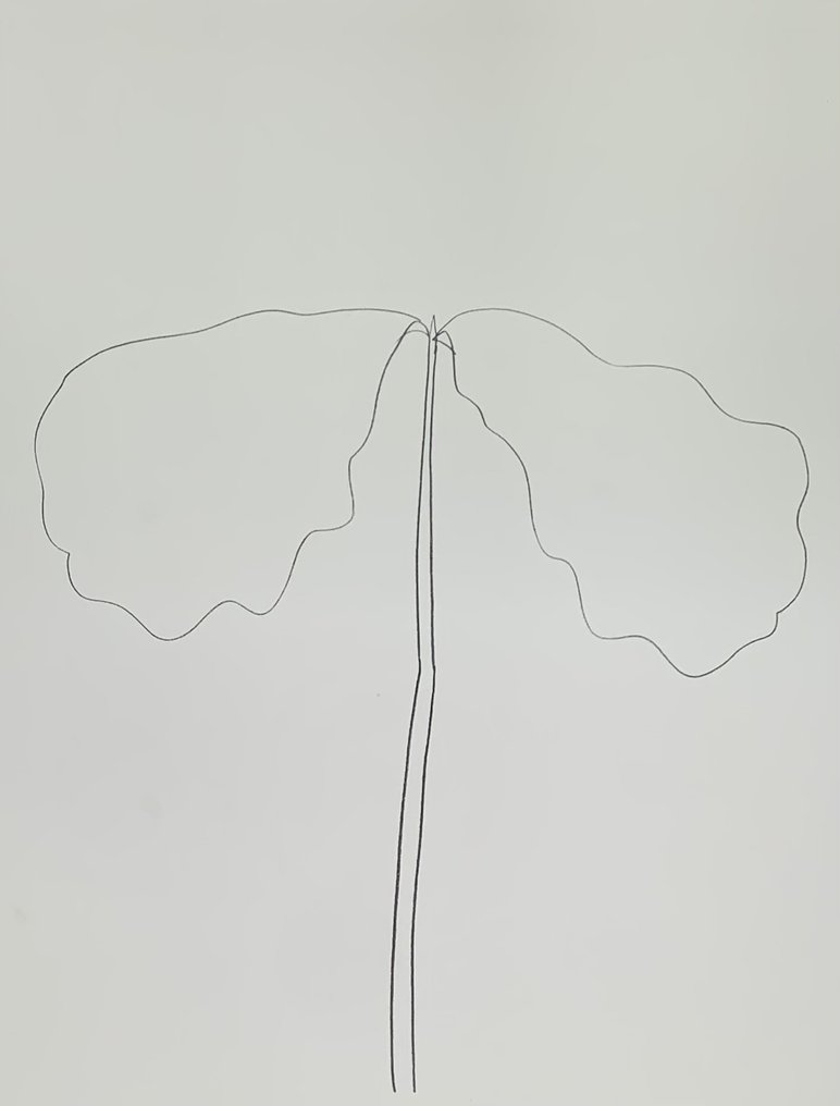 Ellsworth Kelly Chene, 1964 Catawiki