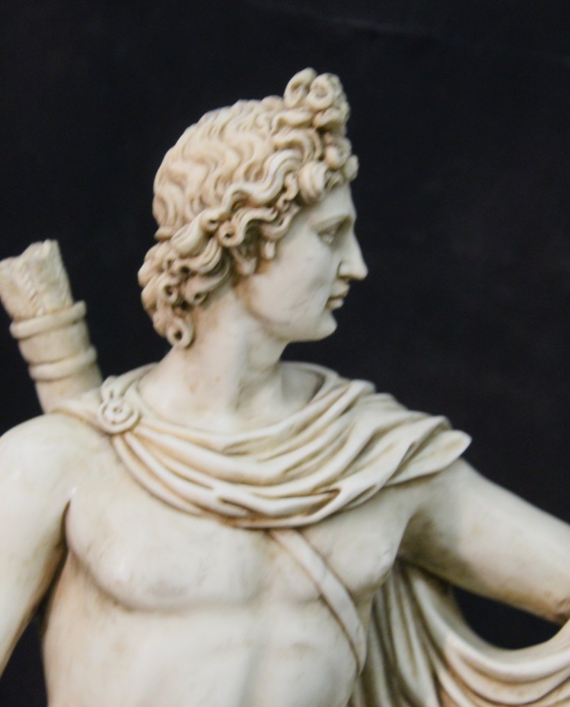 Scultura, Apollo del Belvedere - 82 cm - Marmo #4.3