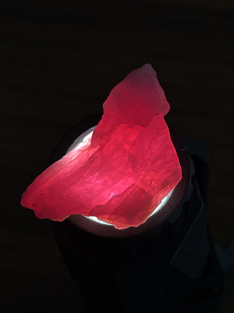 Ruby Rubin roz excepțional din Mozambic. 55,5 ct. Transparent, 100% - Înălțime: 32 mm - Lățime: 20 mm- 11.1 g - (1) #4.3