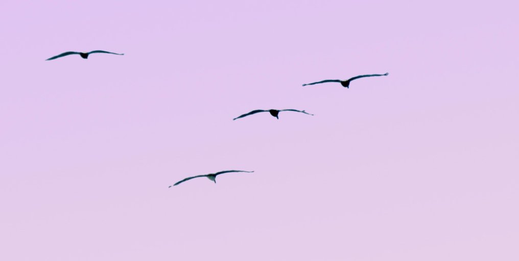 Téber - Solitude · No Reserve #3.2