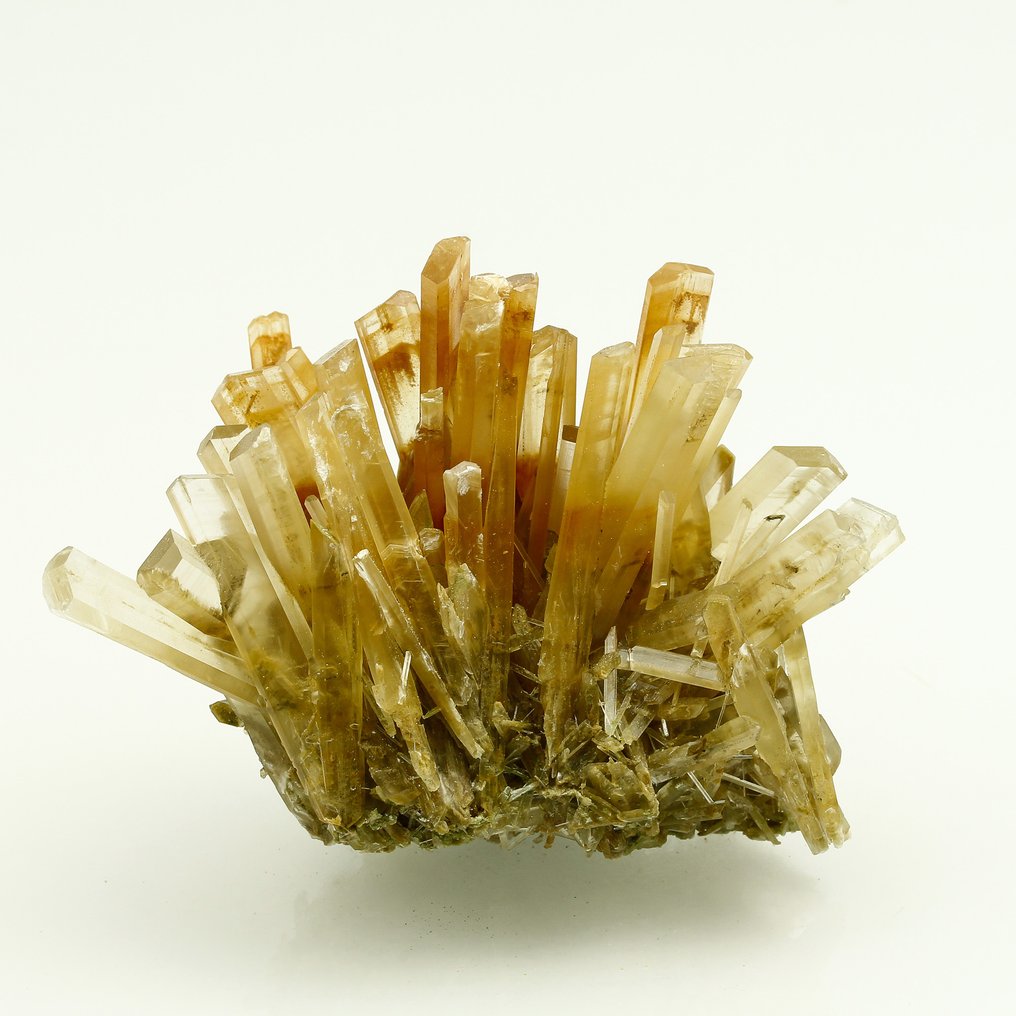 XXL Rara Erba Gesso Arancione e Verde Cluster di cristallo Altezza 7