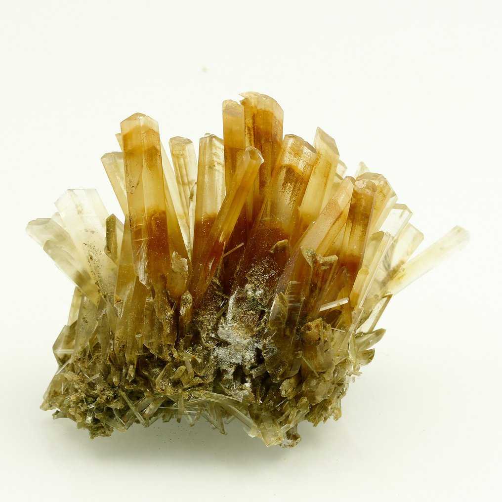 XXL Rara Erba Gesso Arancione e Verde Cluster di cristallo Altezza 7