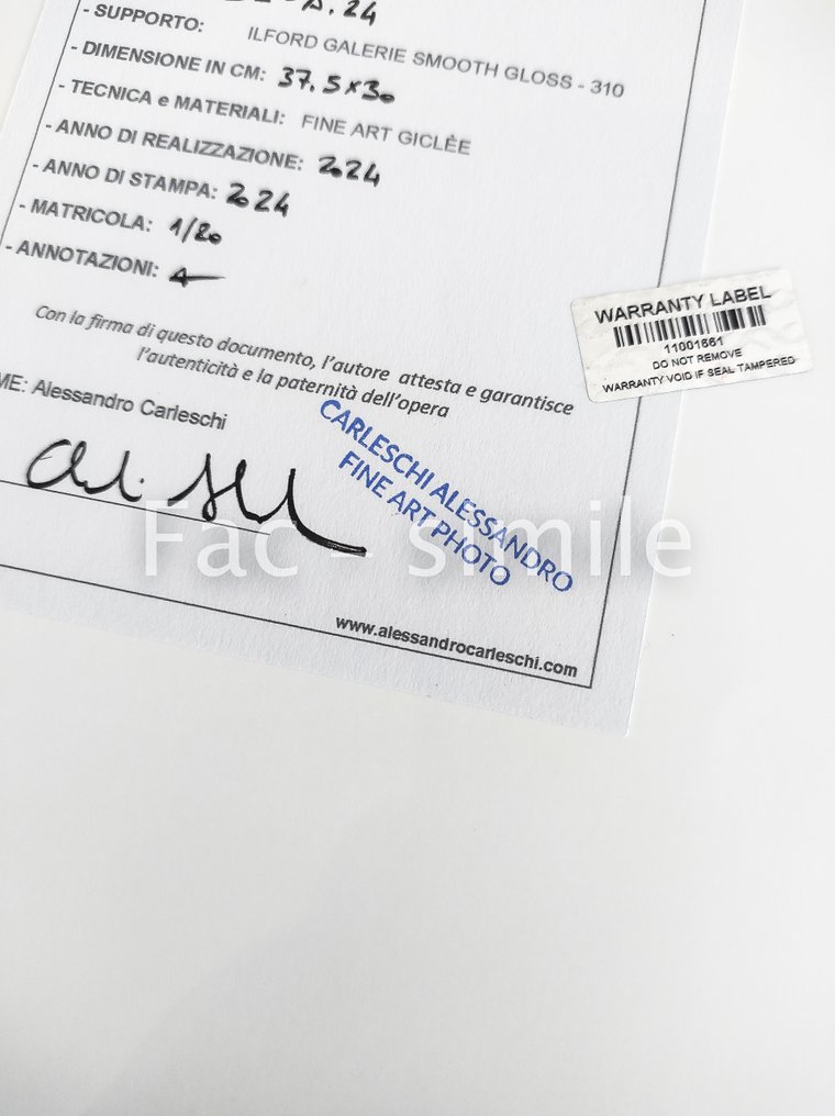 Alessandro Carleschi - Contours of Solitude #3.2