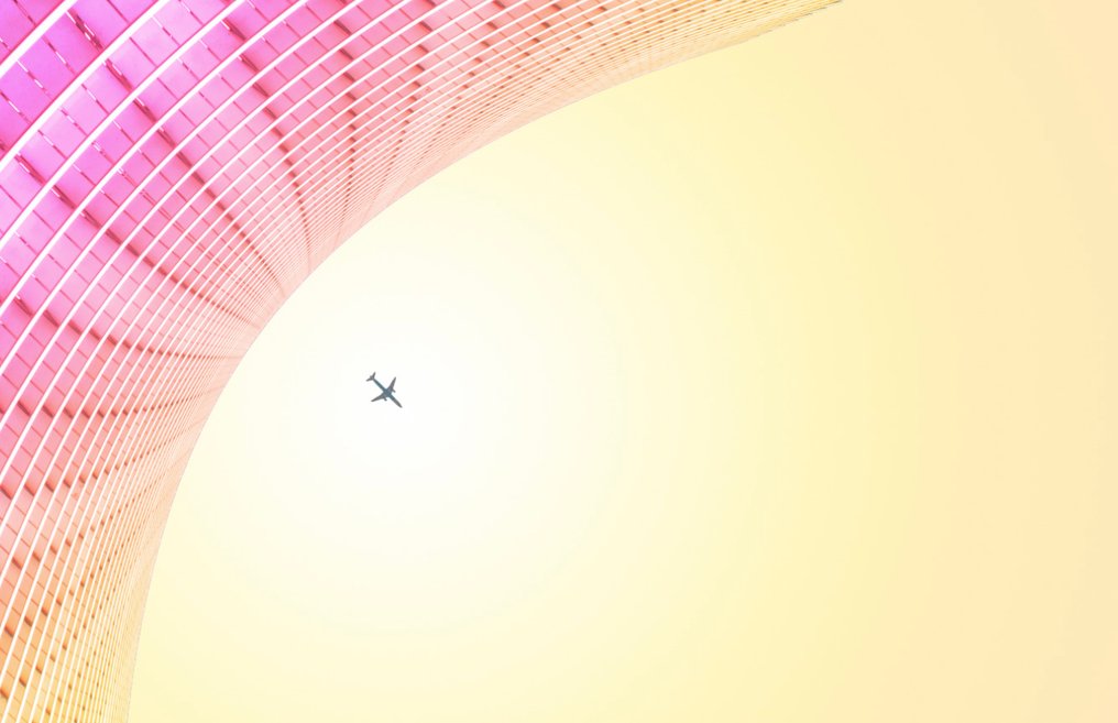 Téber - Shell (Strawberry) · No Reserve #2.1