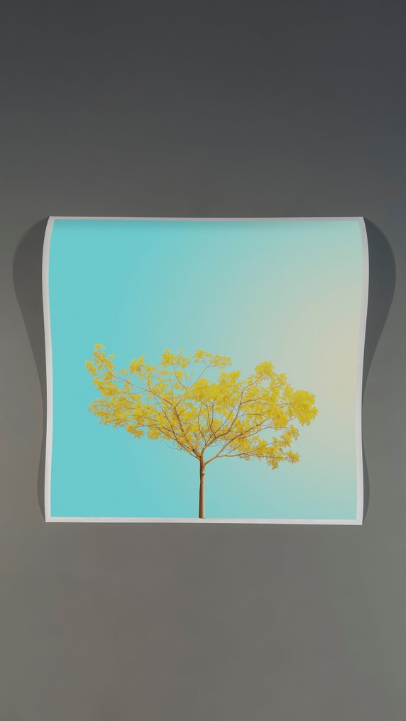 Téber - Araguaney #1.0