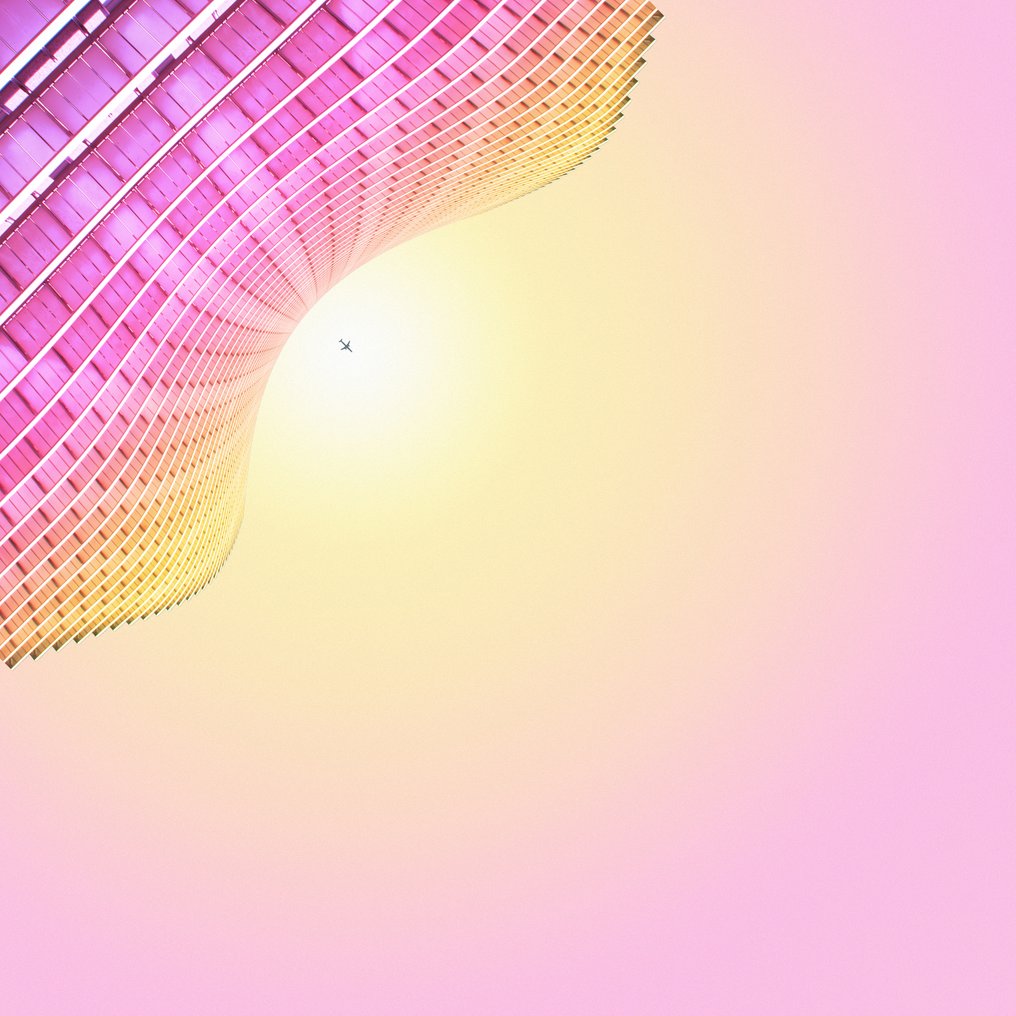 Téber - Shell (Strawberry) · No Reserve #1.0