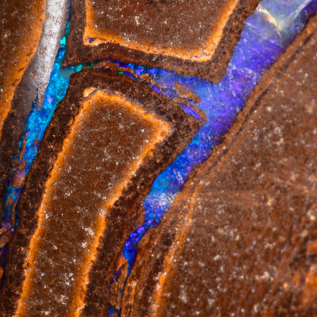 60 Carat Boulder Opal - Fantastic!!! Silver Pendant - - Height: 44 mm - Width: 25.5 mm- 12 g #2.1