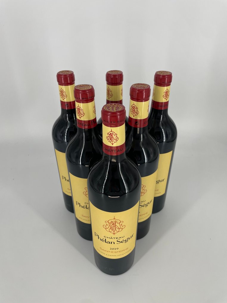 2019 Chateau Phélan Ségur - Saint-Estèphe - 6 Pullot (0.7 L) #3.2
