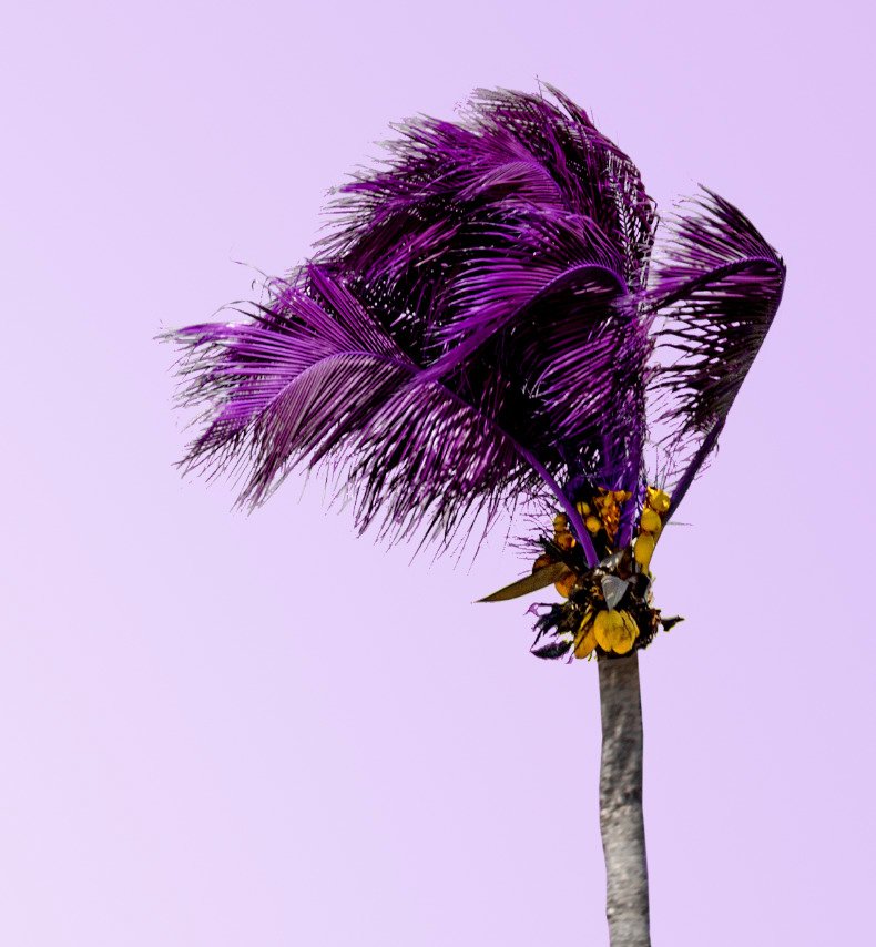 Téber - Paint the Town Violet #2.1