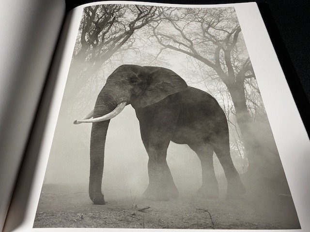 SIGNED; Nick Brandt - The Day May Break - 2021 #1.1