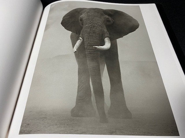 SIGNED; Nick Brandt - The Day May Break - 2021 #2.1
