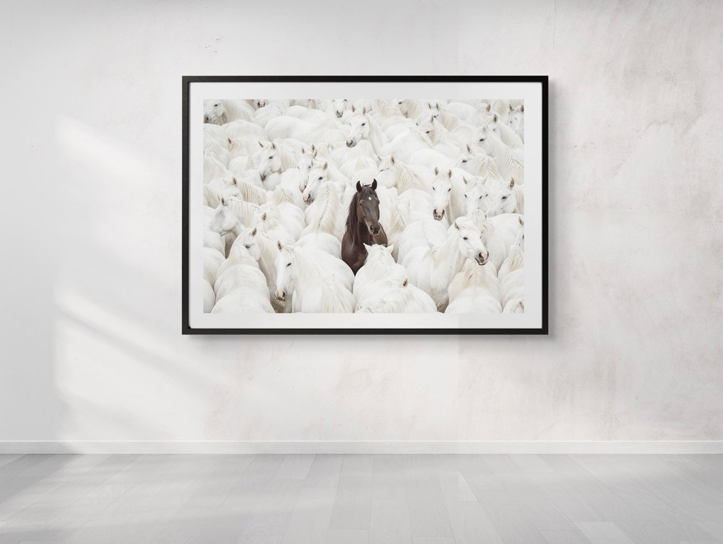 Jorge Omeñaca - The special one #1.0