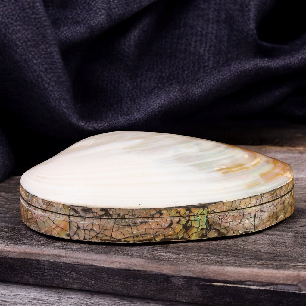 精致珠宝盒:Panapea 贝壳配黑色天鹅绒与海螺珍珠母马赛克 - 高度: 200 mm - 闊度: 115 mm- 229 g #2.1