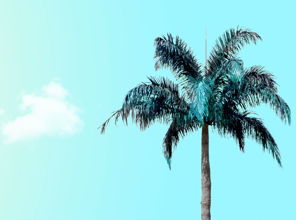 Téber - Color Blocking #3.2