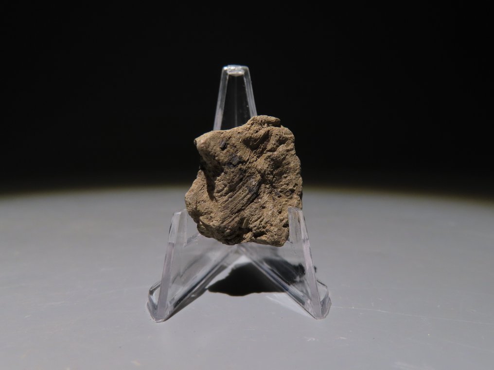 古埃及 Terracotta 印章的阴性。新王国,第 18-19 王朝,公元前 1575 - 1186 年。 2.1 厘米长。 (没有保留价) #4.3