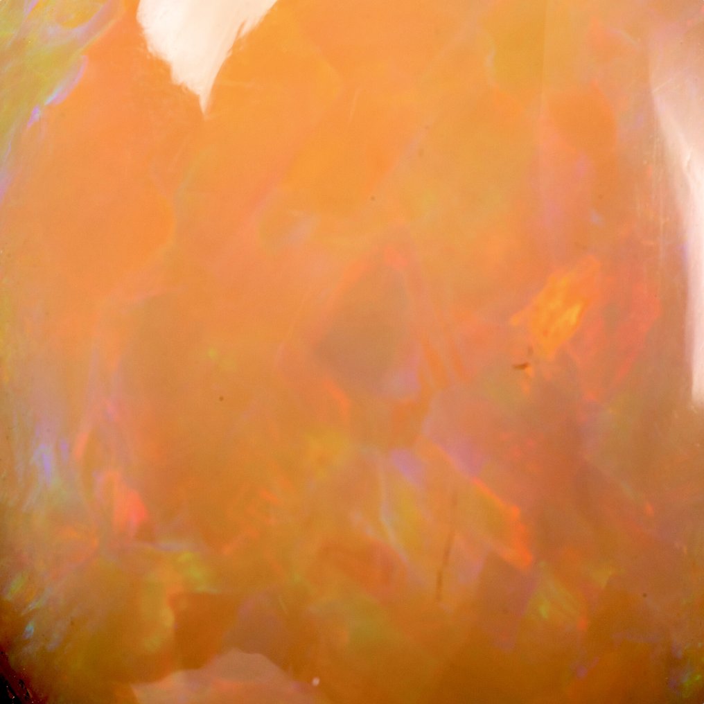 Superb larger Welo opal gem, 120 carats. Ring with Welo Opal Gemstone - Modern Design in Silver. - Height: 49 mm - Width: 27 mm- 24 g #2.1