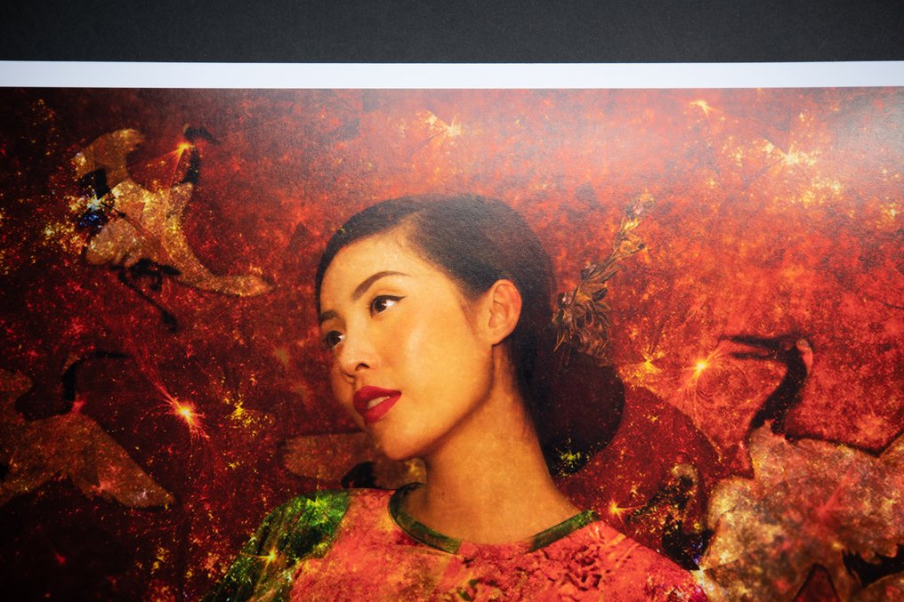 Viet Ha Tran - The Soul of Vietnam VI #3.2