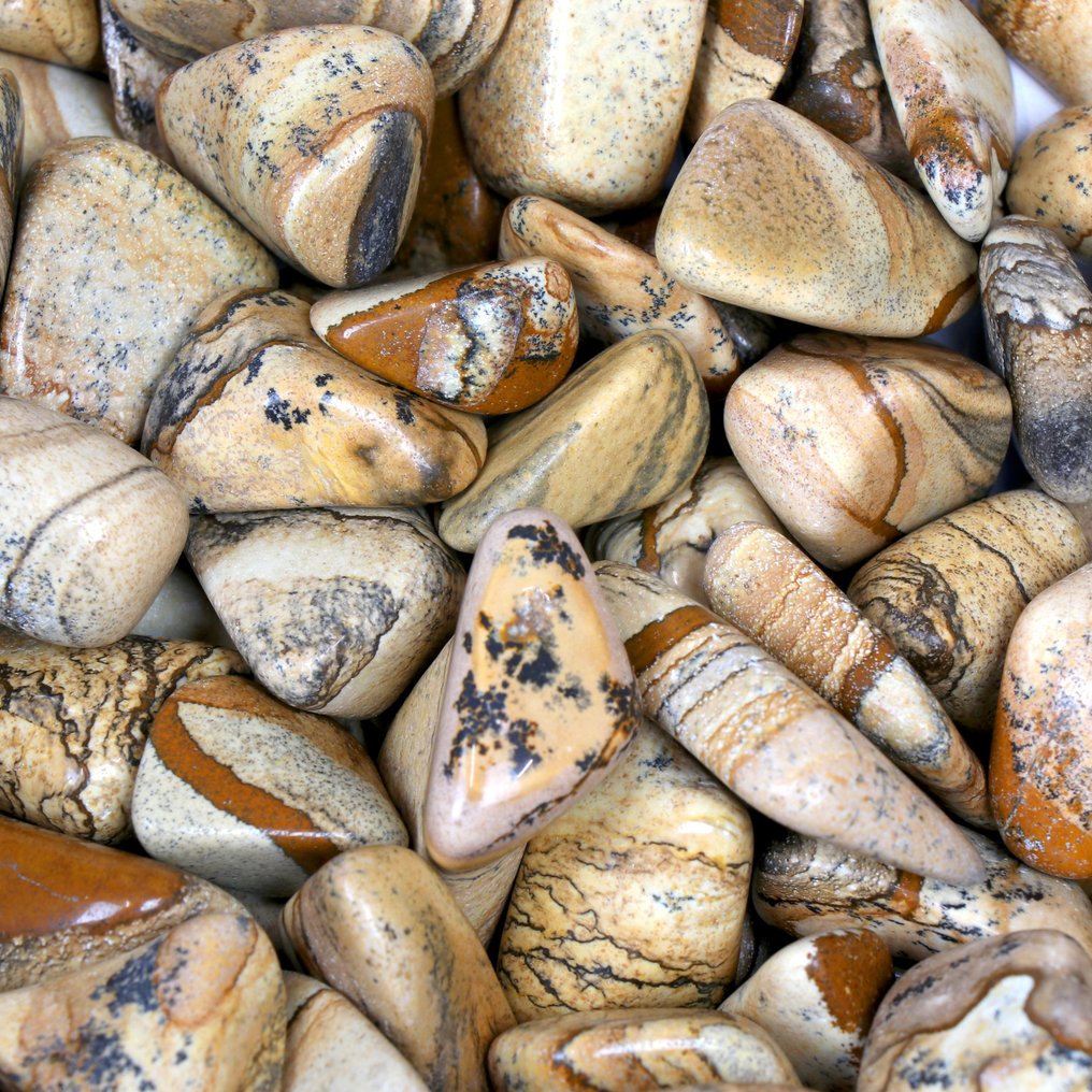 最后一批！ - 树状蛋白石 - 打磨石 - 拍卖- 1 kg #1.0