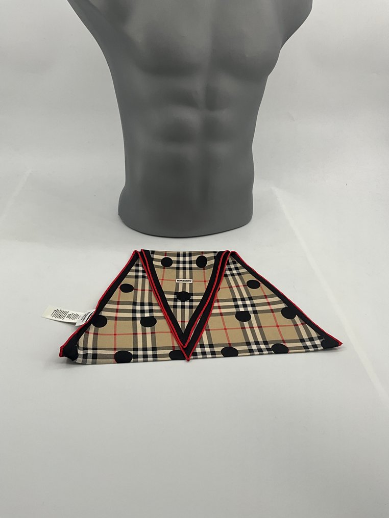 Burberry - Lozange 100/40 cm - Scarf #3.2