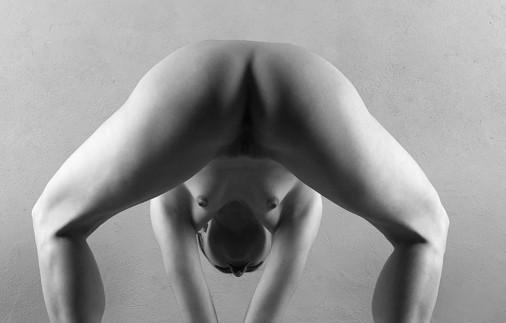 Nata Chebotareva (1972-) - Ballet Arabesque #1.0