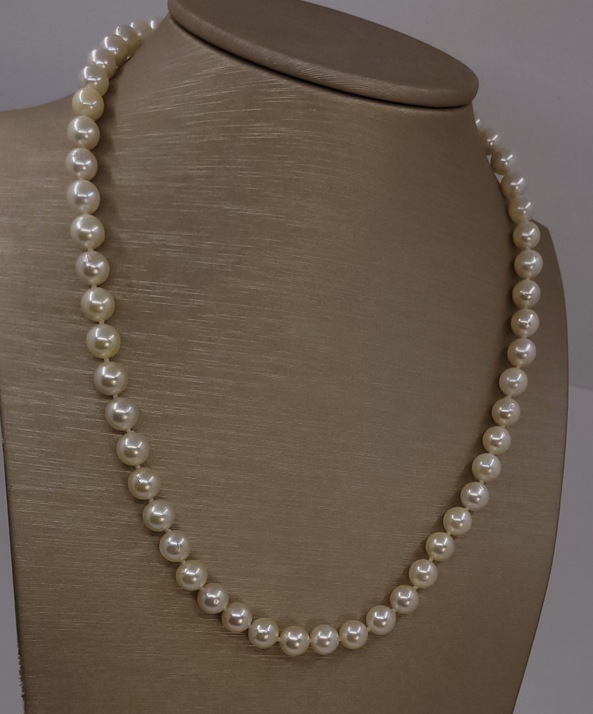 Collier - 14 carats Or jaune - Perles Akoya de 6x7 mm #4.3