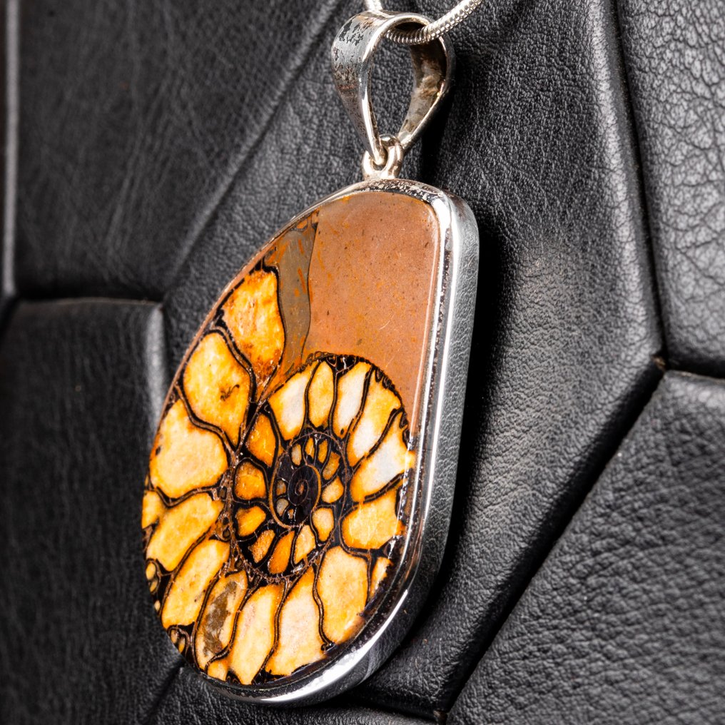 Pandantiv exclusiv - spirală fossilă Bijuterii din argint Jurassic - Ammonith - Înălțime: 53 mm - Lățime: 35.5 mm- 13 g #4.3