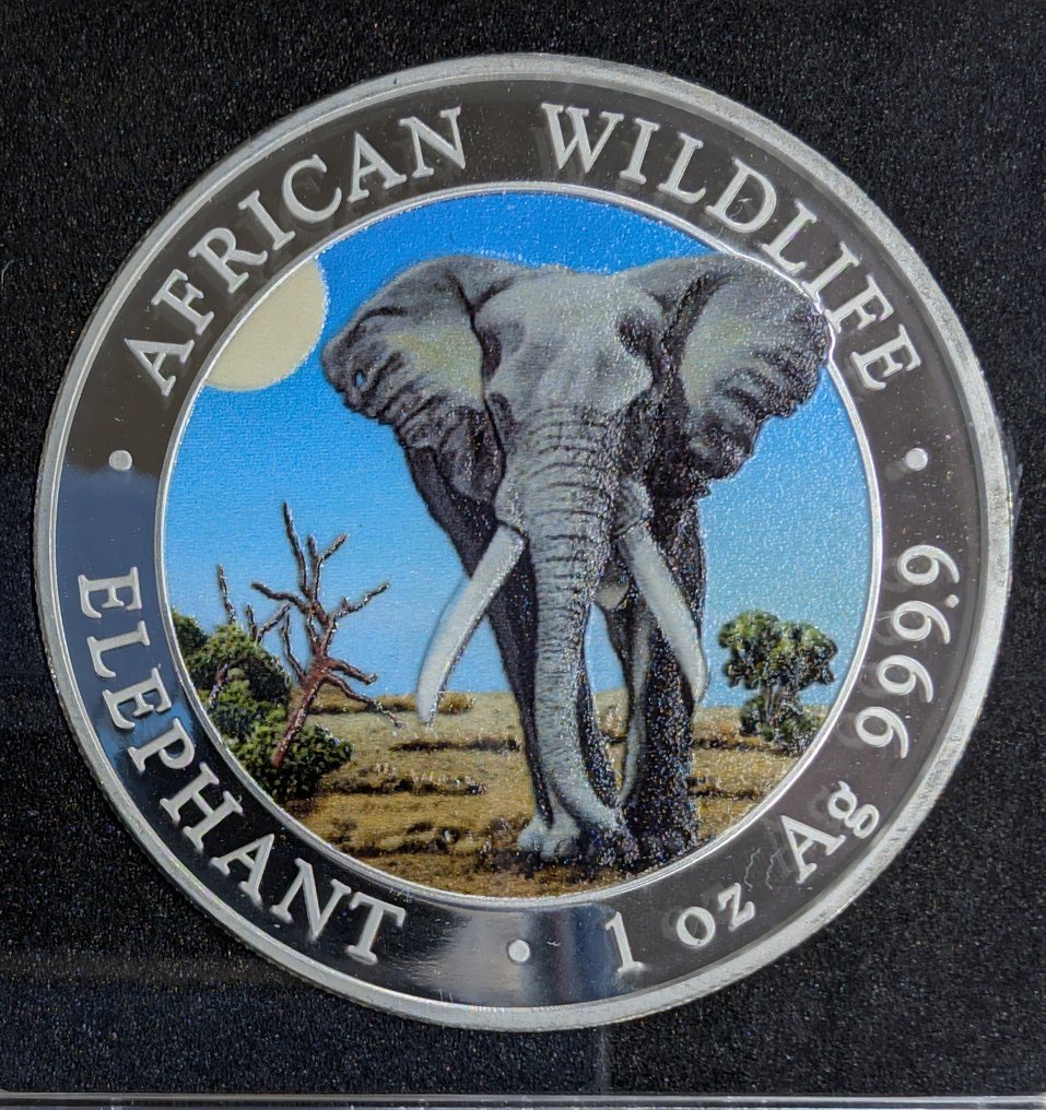Somalia. 100 Shilling 2025 African Wildlife - Elefant, 2x1 Oz (.999