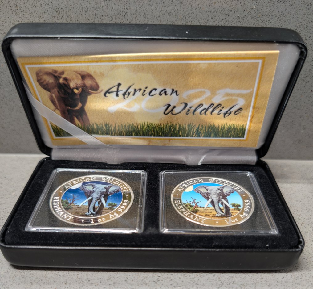 Somalia. 100 Shilling 2025 African Wildlife - Elefant, 2x1 Oz (.999