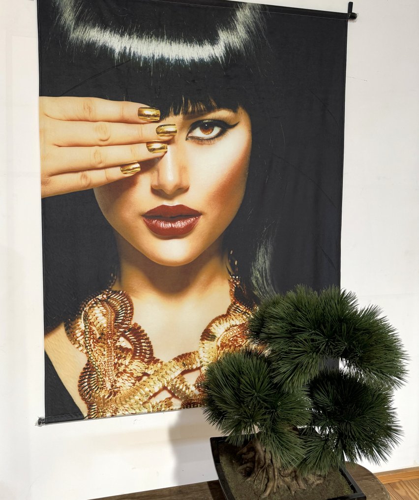 Veggdekorasjon - Teppe i fløyel. #4.3