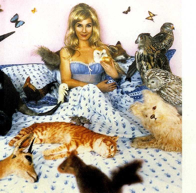 Signed; Sophie Calle - M'as tu vue - 2003 #1.0