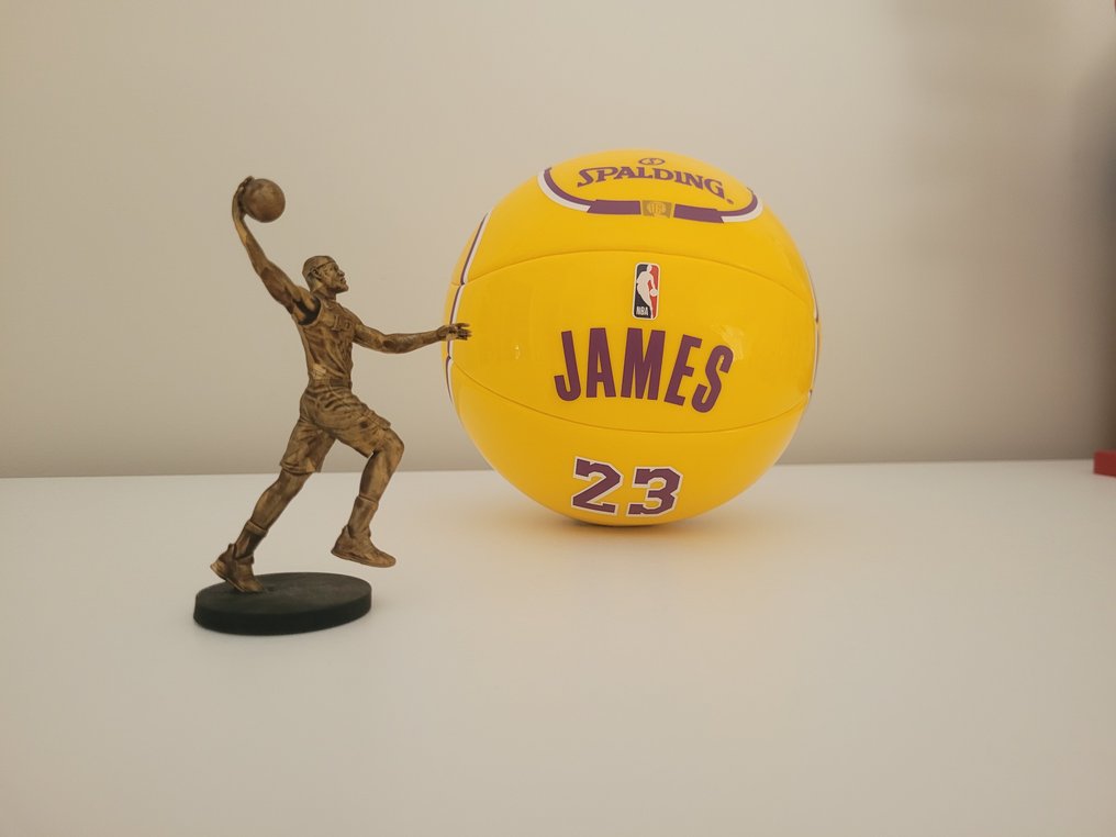 Lebron james mini basketball new arrivals