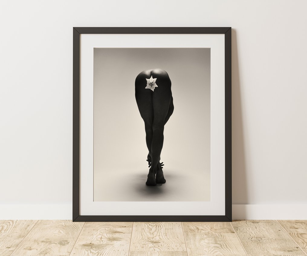 Dominik Valvo - Secret Garden #4 #2.1