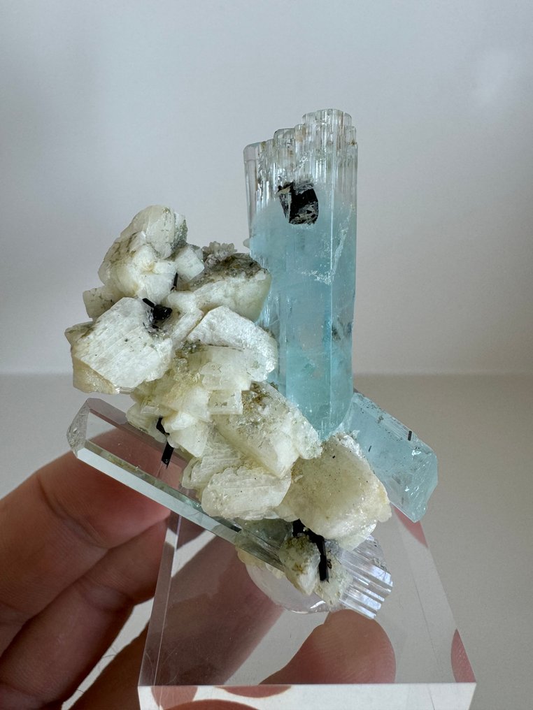 Aquamarine Crystals on matrix - Height: 6.5 cm - Width: 5 cm- 80 g #1.0