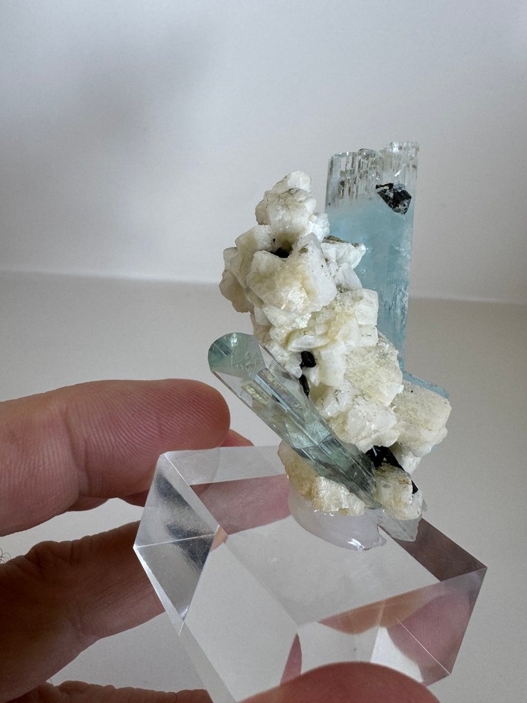 Aquamarine Crystals on matrix - Height: 6.5 cm - Width: 5 cm- 80 g #4.3