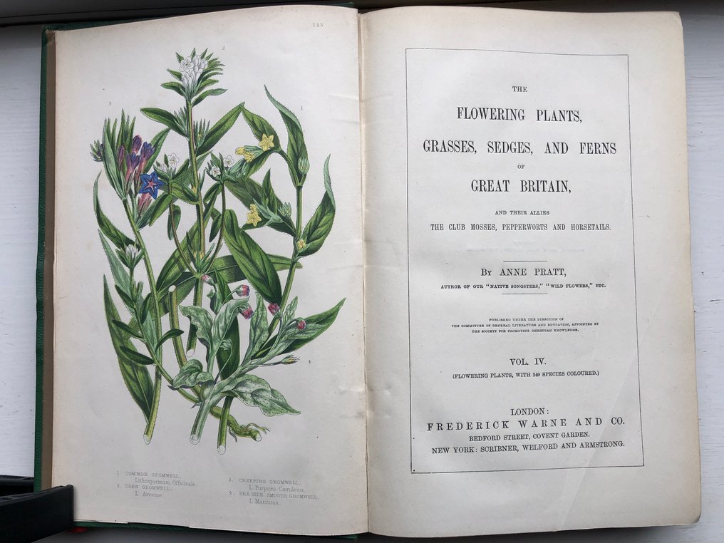 Anne Pratt - The Flowering Plants, Grasses, Sedges, and Ferns of Great Britain Volume 4 [53 coloured plates] - 1873 #2.1