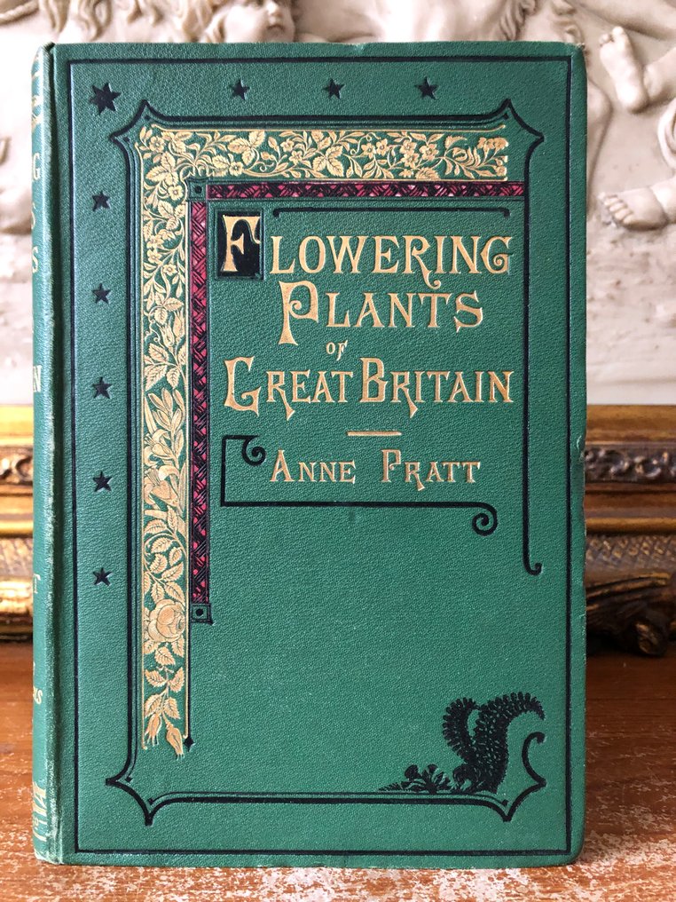 Anne Pratt - The Flowering Plants, Grasses, Sedges, and Ferns of Great Britain Volume 4 [53 coloured plates] - 1873 #1.0