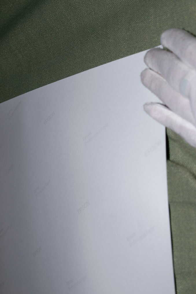 Nata Chebotareva (1972-) - Ballet Arabesque #3.2