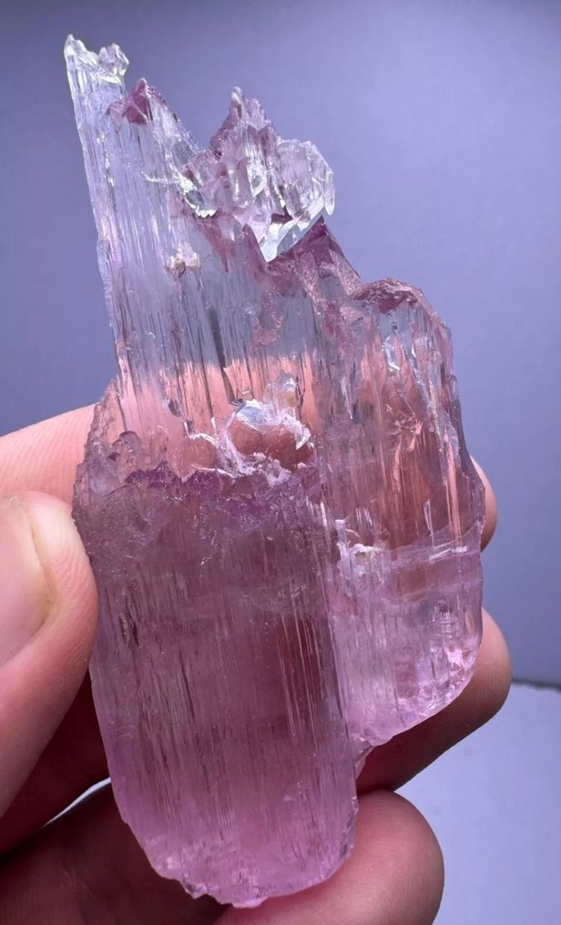 Wow!! Fluorescent natural etched pink Kunzite crystal Crystal - Height: 82 mm - Width: 15 mm- 62 g - (1) #1.0