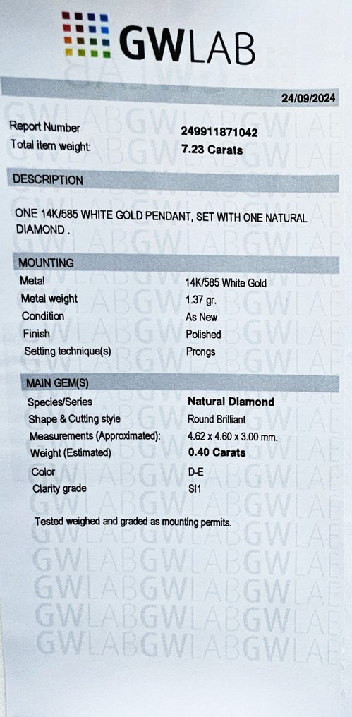 Ketting met hanger - 14 karaat Witgoud - 0.40ct. tw. Diamant (Natuurlijk) - D-E Color #4.3